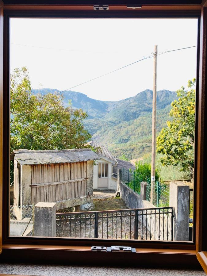 ヴィラ・レアル "Casa Do Avo Armindo" Mountain Experienceヴィラ エクステリア 写真