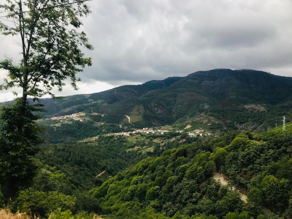 ヴィラ・レアル "Casa Do Avo Armindo" Mountain Experienceヴィラ エクステリア 写真