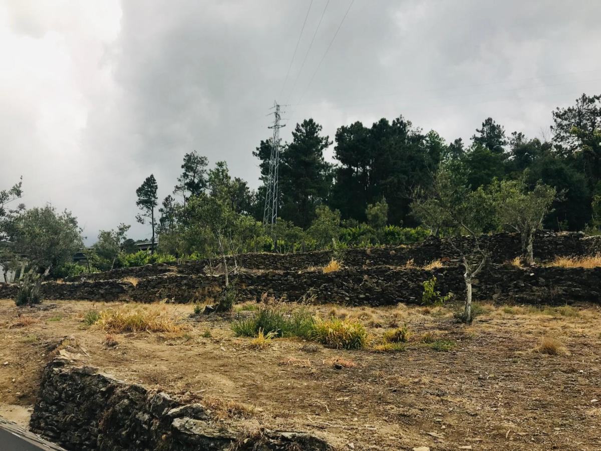 ヴィラ・レアル "Casa Do Avo Armindo" Mountain Experienceヴィラ エクステリア 写真